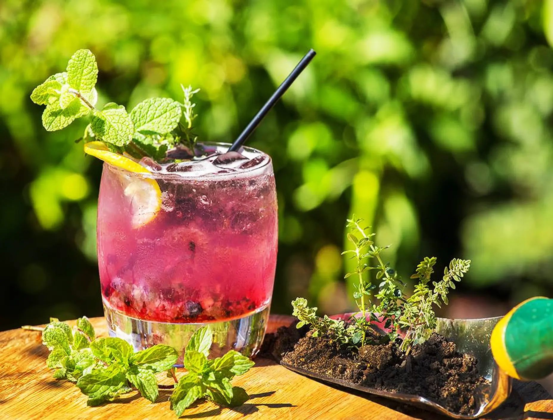 top cocktail bars in newark de